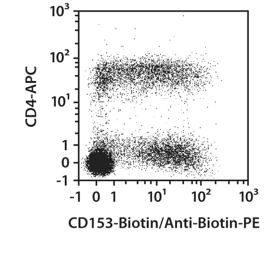 CD153 Antibody, anti-mouse, REAfinity™ | Miltenyi Biotec | USA