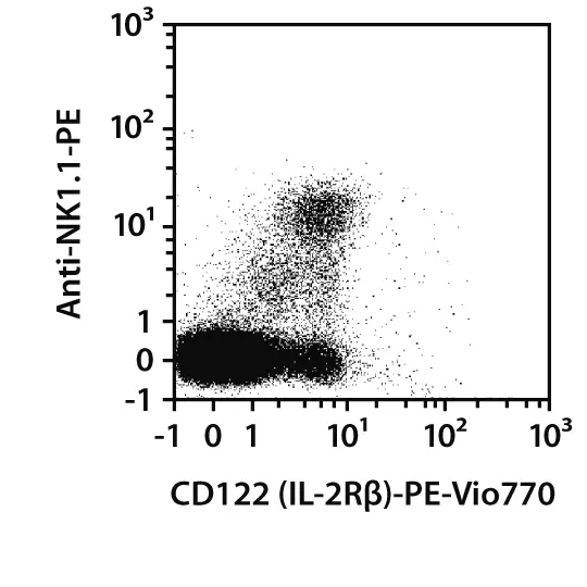 CD122 (IL-2Rβ) Antibody, anti-mouse, REAfinity™ | Miltenyi Biotec | India