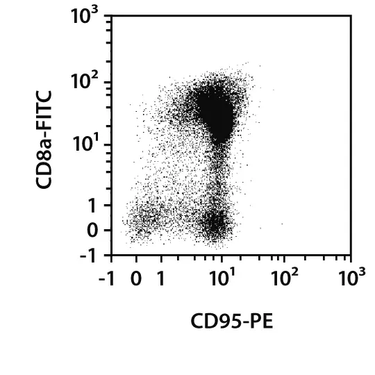 CD95 (FAS) Antibody, anti-mouse, REAfinity™ | Miltenyi Biotec | USA