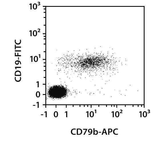 CD79b Antibody, anti-human, REAfinity™ | Miltenyi Biotec | USA