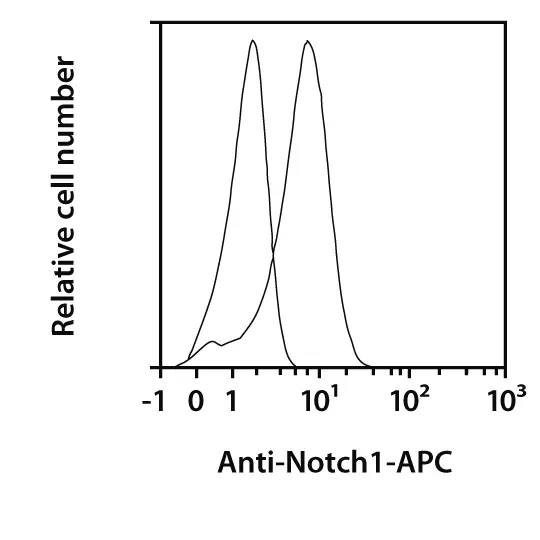 Notch1 Antibody, anti-human, REAfinity™ | Miltenyi Biotec | USA