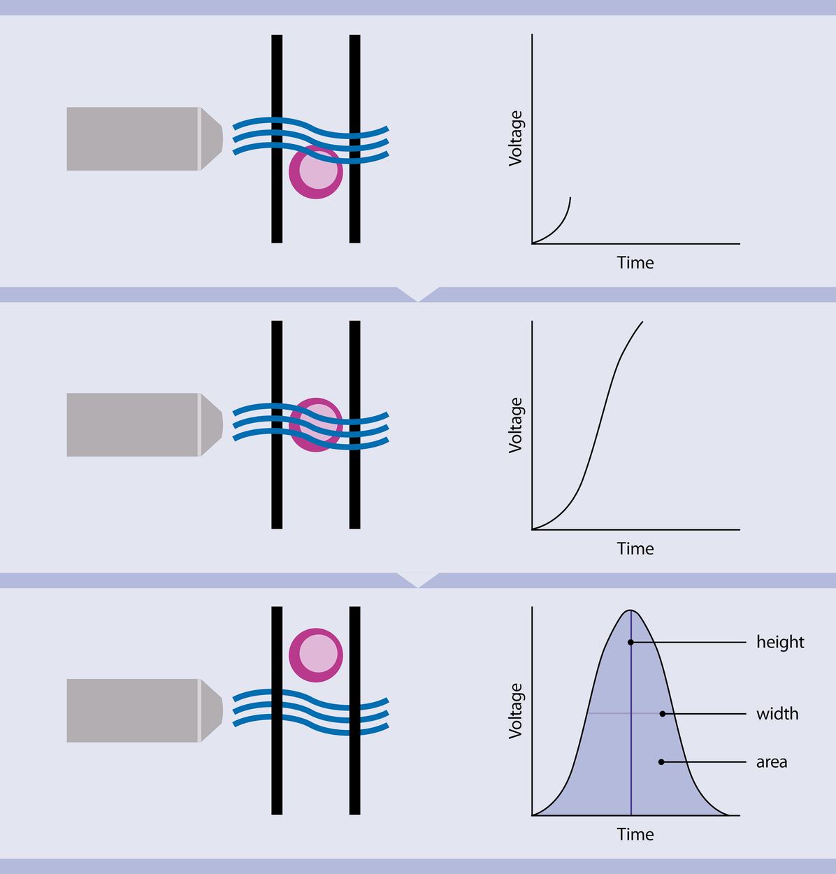 Pushing the limits by 'equal opportunity' design - CytoBuoy flow cytometry  solutions