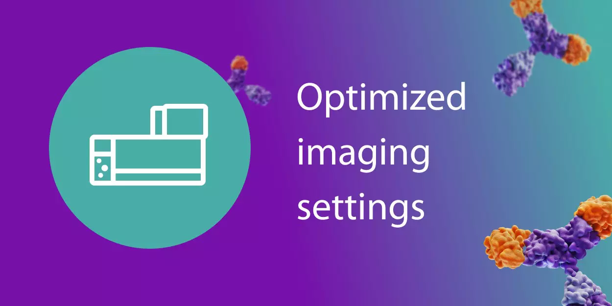 Predefined REAplex antibody kits for spatial mapping and multiplexing ...
