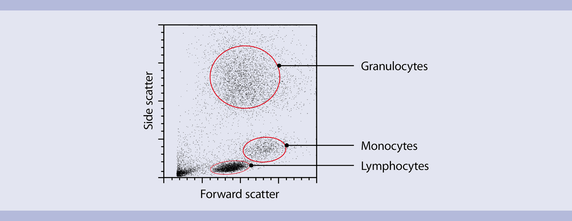 What Is Flow Cytometry?