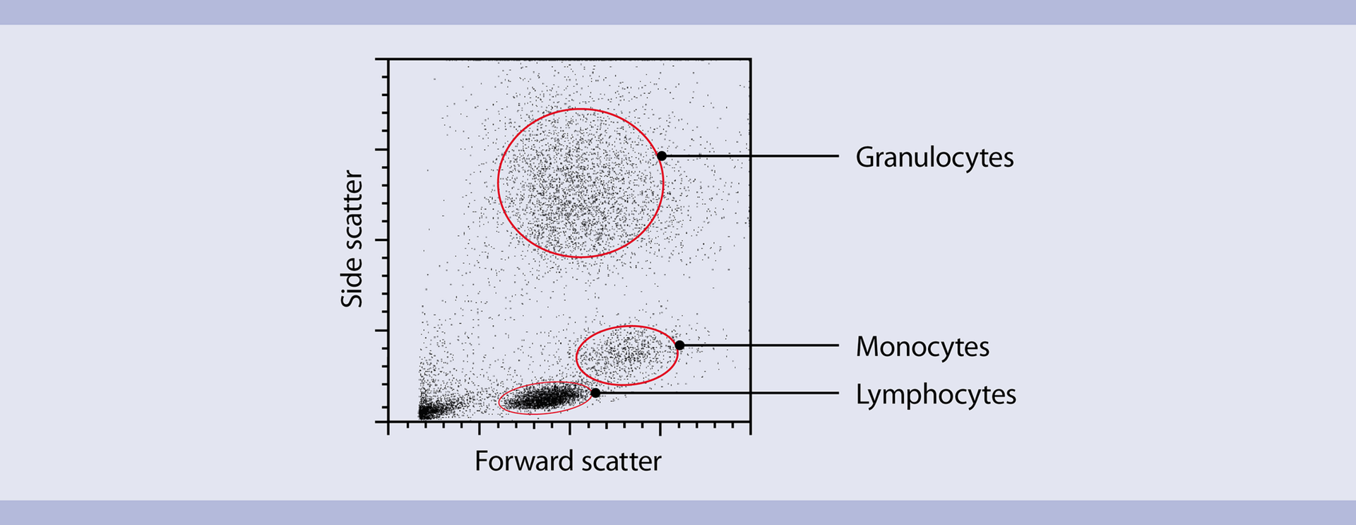 Flow cytometry basics | Miltenyi Biotec | Australia