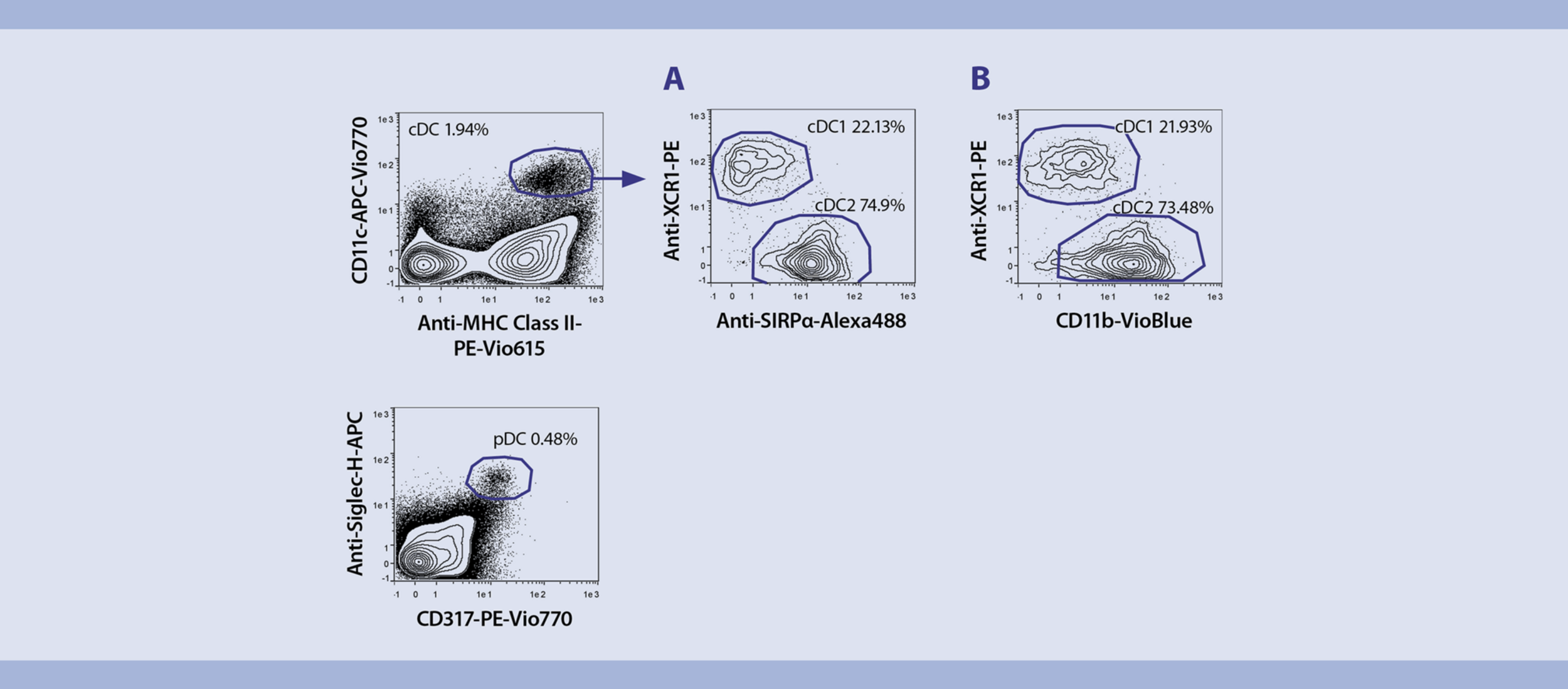 Flow Cytometry | Dendritic Cells From Mouse Spleen | Protocol ...