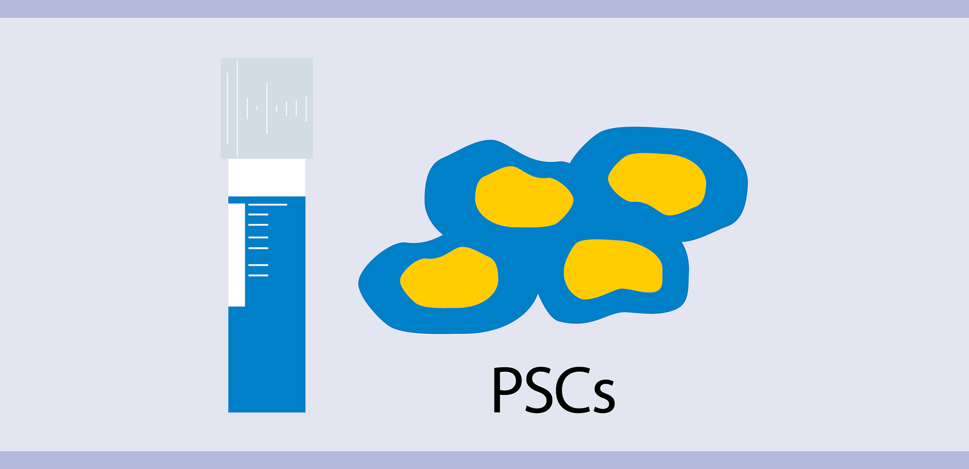 Pluripotent stem cell banking (GMP compliant) Cell harvesting