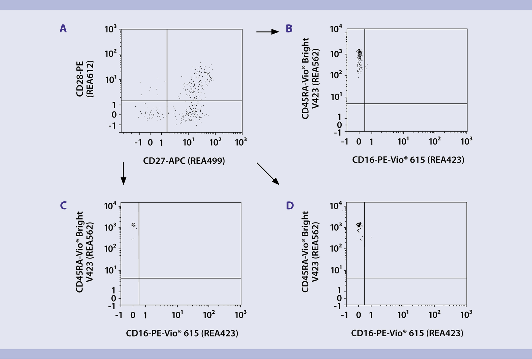 Immunophenotyping | Human γδ T Cells | Protocol | Miltenyi Biotec | USA