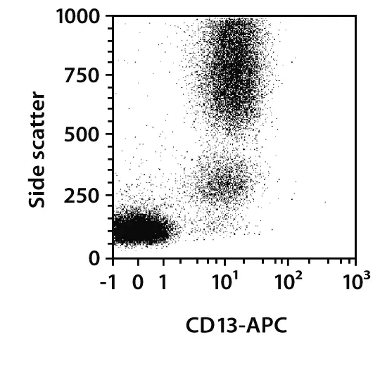 CD13 Antibody, anti-human, REAfinity™ | Miltenyi Biotec | USA