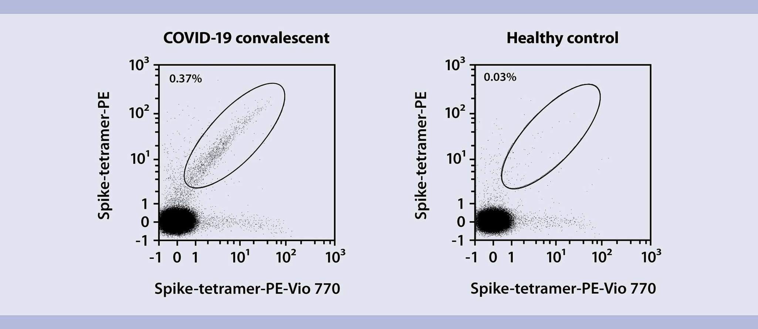 Analysis Of SARS-CoV-2–specific B Cells | Protocol | Miltenyi Biotec | USA