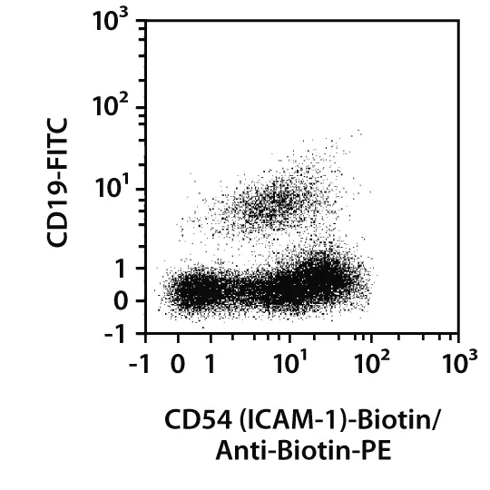 CD54 (ICAM-1) Antibody, anti-human, REAfinity™ | Miltenyi Biotec | USA