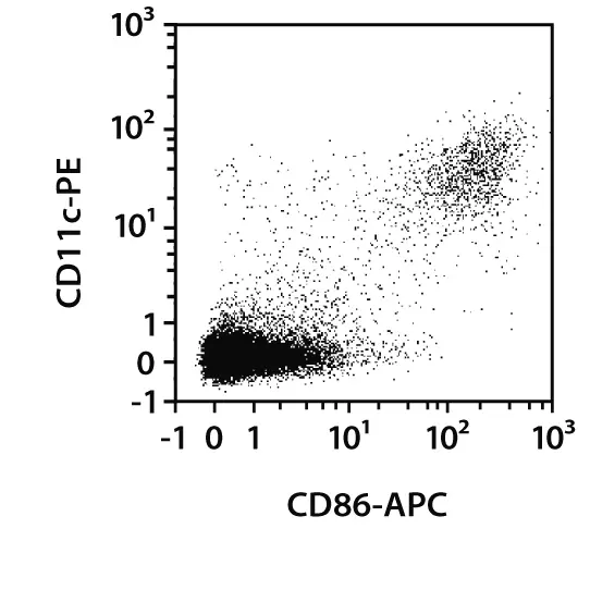 CD86 Antibody, anti-mouse | Miltenyi Biotec | USA