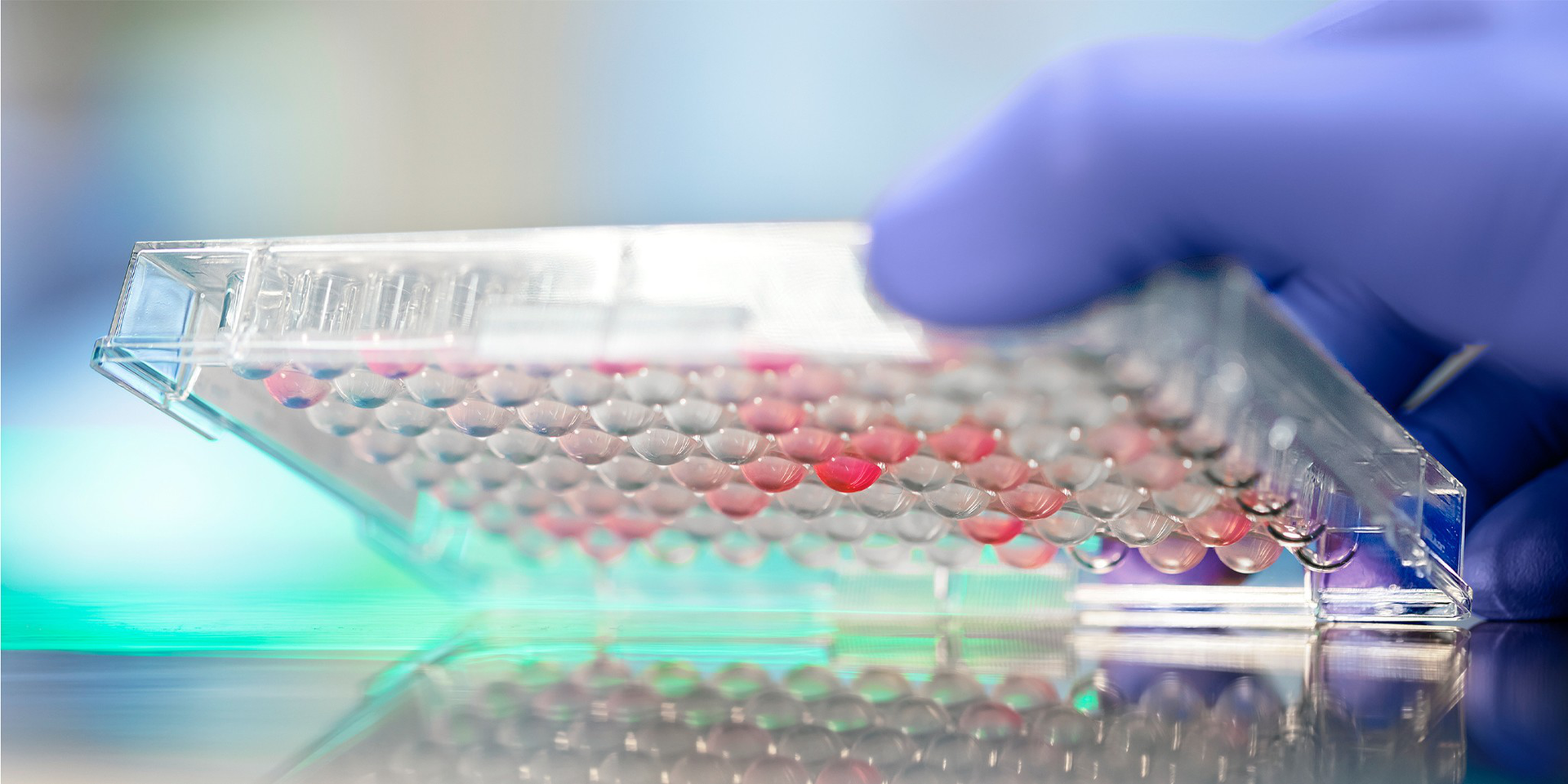 MACSima™ antibody panels Spatial biology Miltenyi Biotec 香港