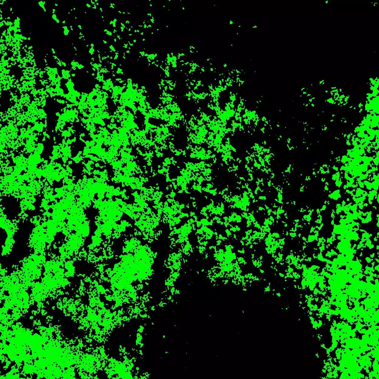 CD3 Antibody, anti-human | Miltenyi Biotec | USA