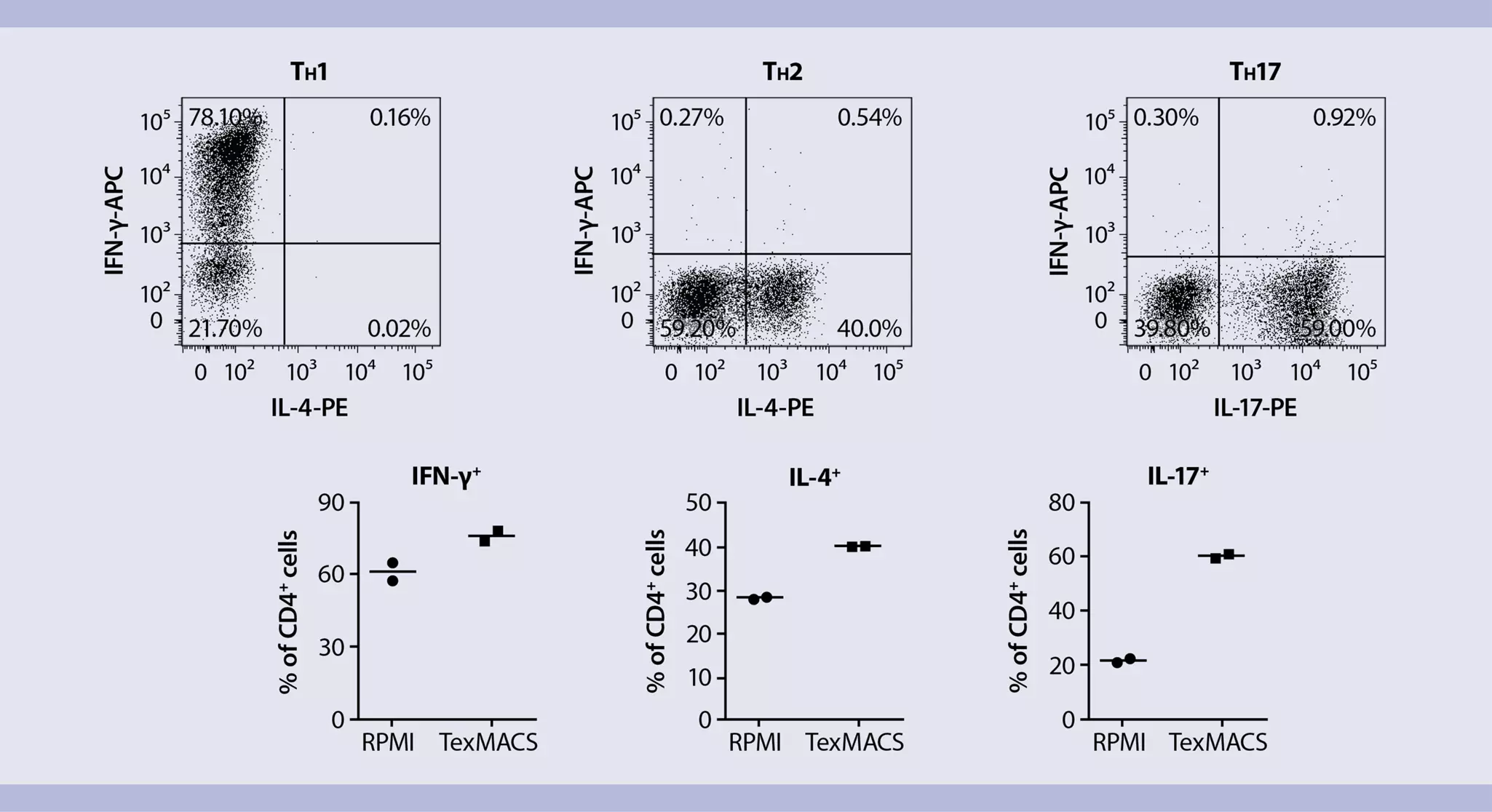 TH1, TH2, and TH17 polarization | CD4+ mouse T cells | Protocol ...