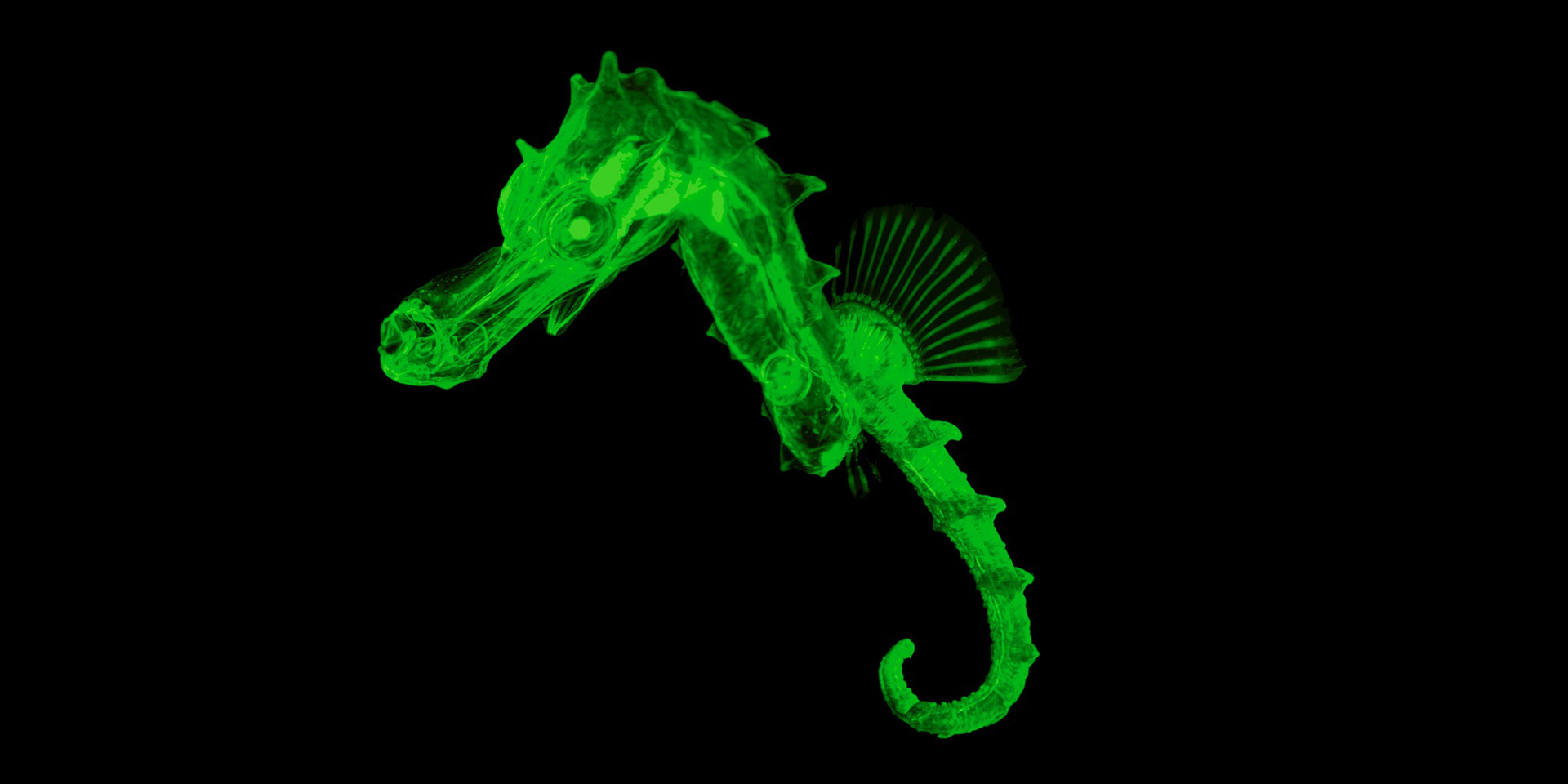 Light sheet microscopy benefits Miltenyi Biotec USA