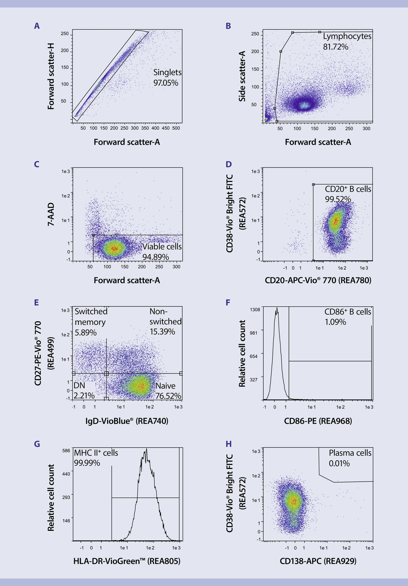 Immunophenotyping | human B cells | Protocol | Miltenyi Biotec | USA