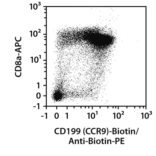 CD199 (CCR9) Antibody, anti-mouse, REAfinity™ | Miltenyi Biotec | USA