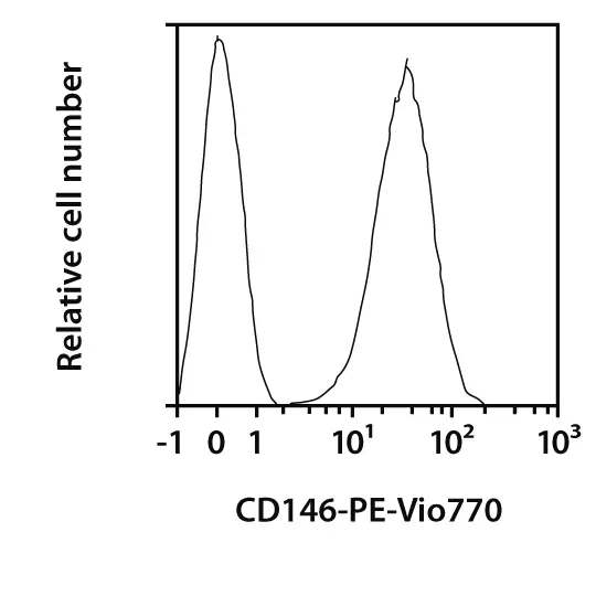 CD146 Antibody, anti-human, REAfinity™ | Miltenyi Biotec | USA