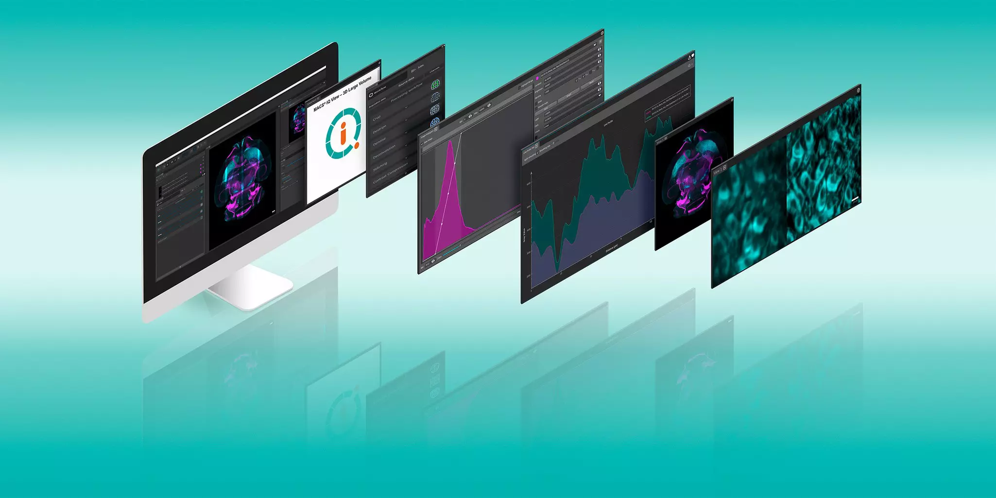 MACS® iQ View - 3D Large Volume Software | Miltenyi Biotec | 中国
