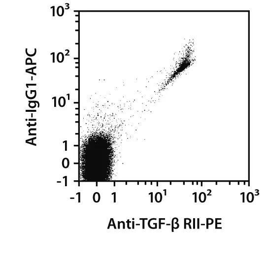 TGF-β RII Antibody, anti-human, REAfinity™ | Miltenyi Biotec