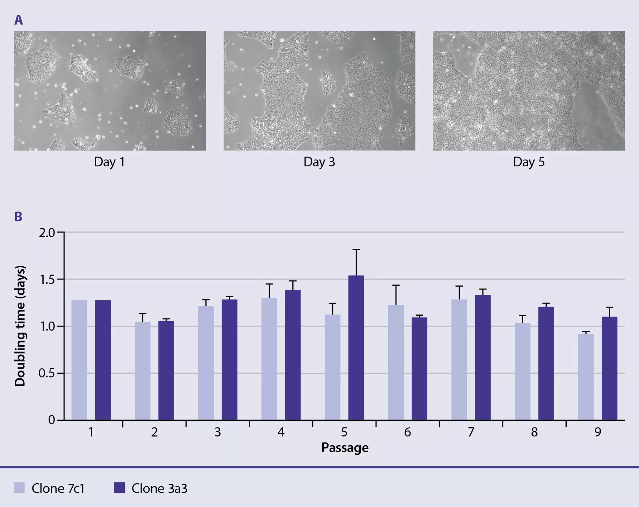 MACSmatrix Laminin 511 | Miltenyi Biotec | USA