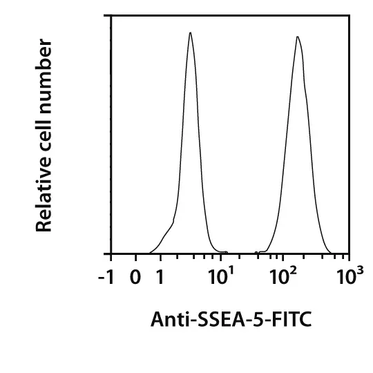 SSEA-5 Antibody, anti-human | Hybridomas | MACS Antibodies