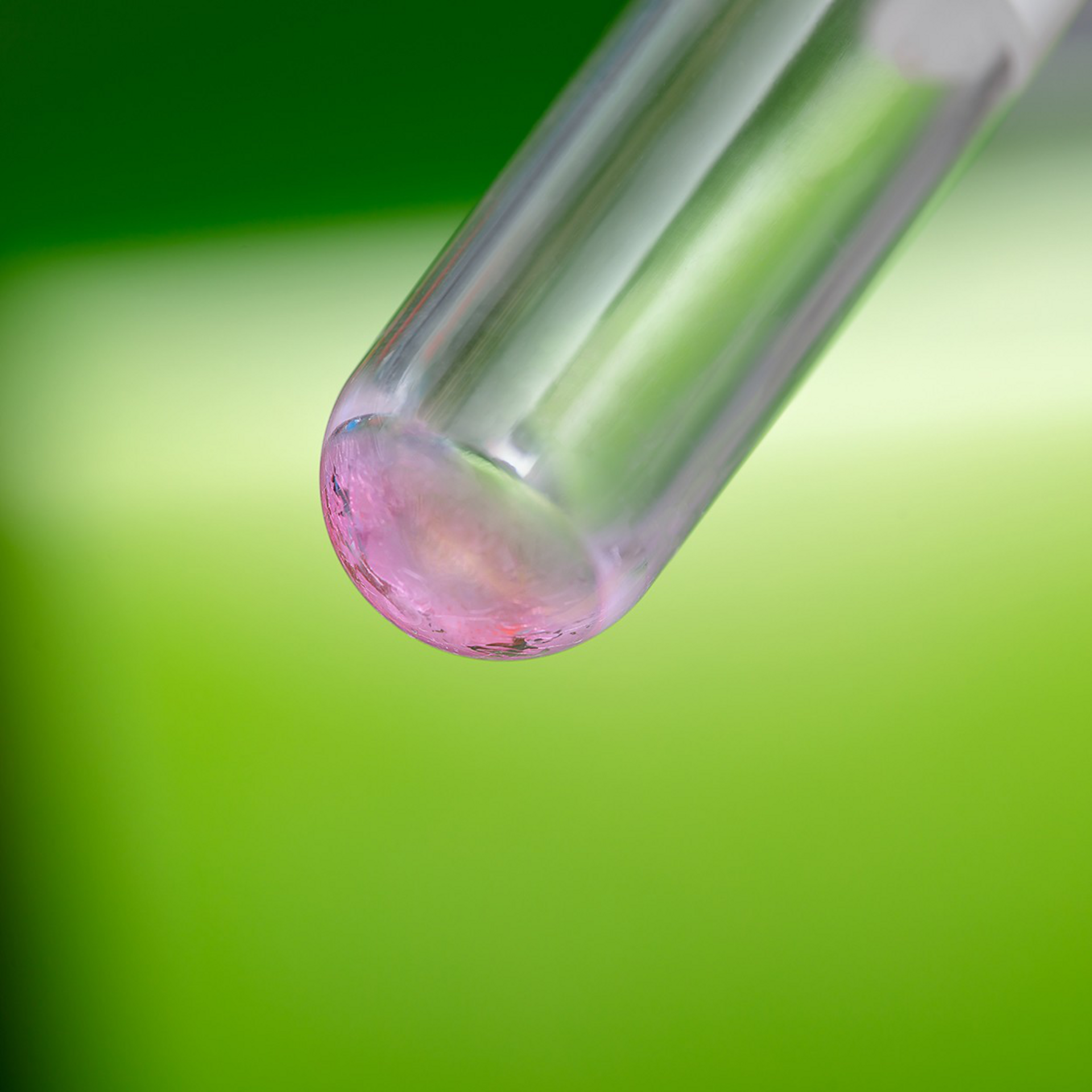 Flow Cytometry Reagents & Kits | Miltenyi Biotec | USA