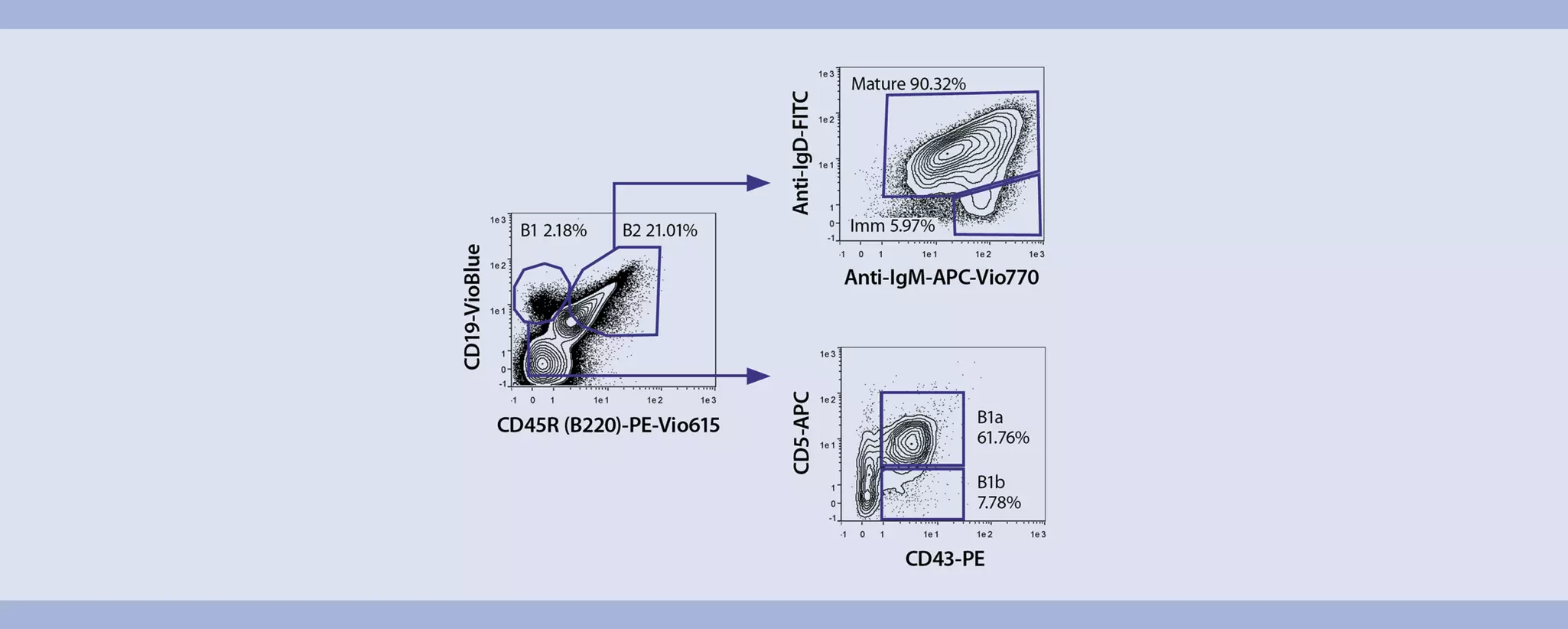 Flow cytometry | B cells from mouse spleen | Protocol | Miltenyi Biotec ...