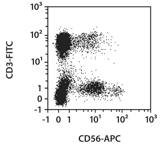 CD3点 CD56 Antibody, anti-human | Miltenyi Biotec | USA