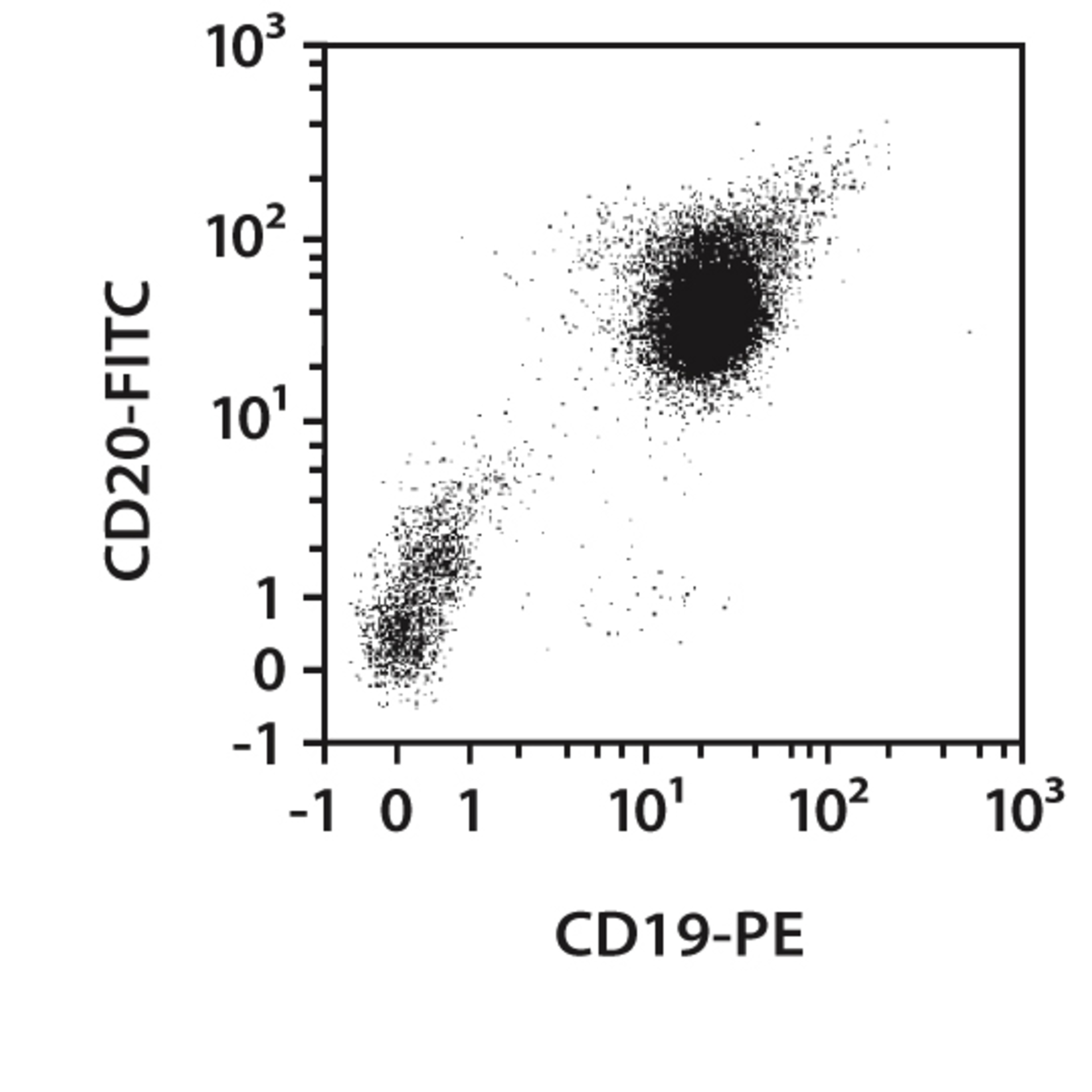 B Cells (human) | MACS Handbook | Resources | Miltenyi Biotec | 中国