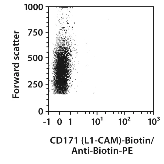 amagamiii CD17枚セット CD171 (L1CAM) Antibody, anti-mouse | Miltenyi Biotec | USA