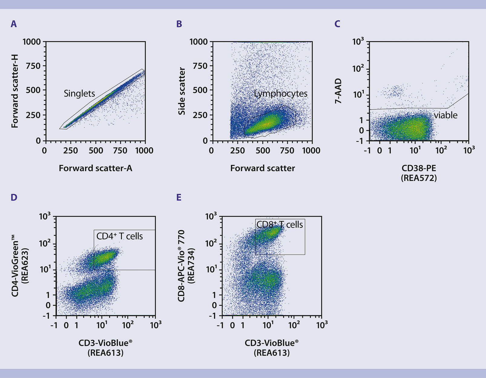 T Cell Flow Cytometry Panel | Hot Sex Picture