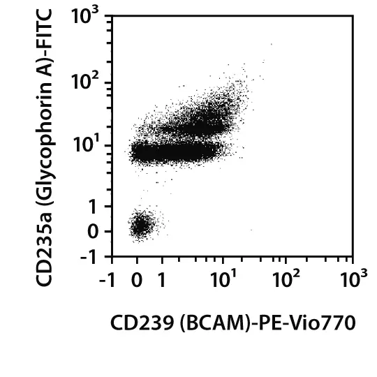 CD239 (BCAM) Antibody, Anti-human, REAfinity™ | Miltenyi Biotec | USA