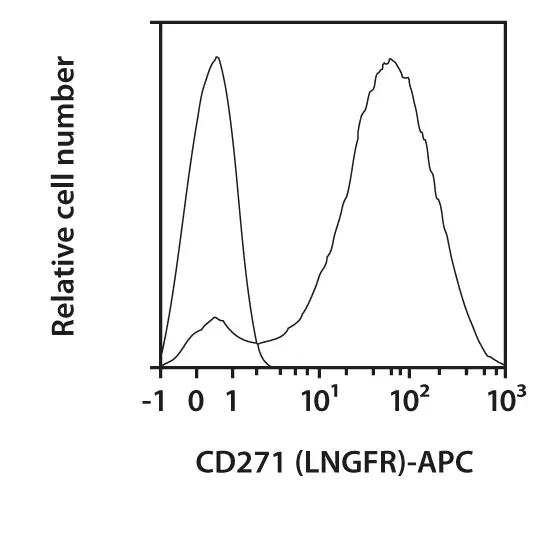 CD271 (LNGFR) Antibody, anti-human/mouse, REAfinity CD271 (LNGFR) Antibody, anti-human/mouse, REAfinity