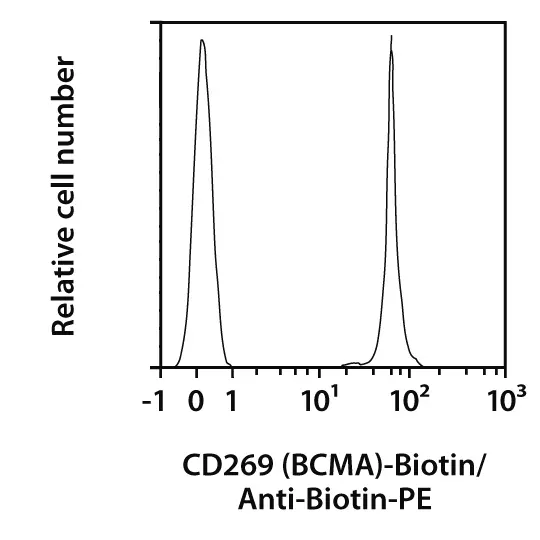 CD269 (BCMA) Antibody, anti-mouse, REAfinity™ | Miltenyi Biotec | USA