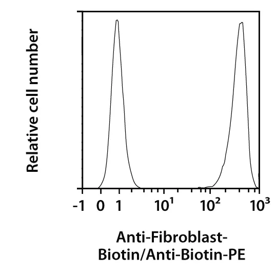 Fibroblast Antibody, anti-human, REAfinity™ | Miltenyi Biotec | USA
