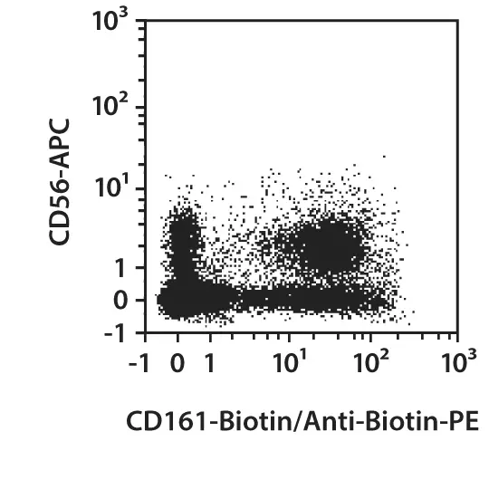 【ストライク/CD16点】THE PHARCYDE等 LSD1 inhibition improves efficacy of adoptive T cell therapy by