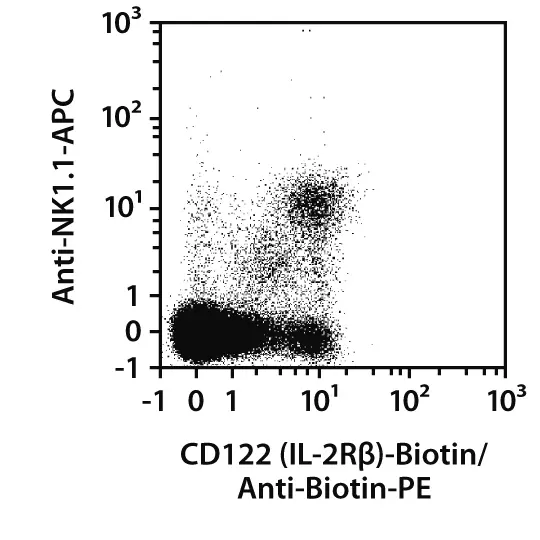 CD122 (IL-2Rβ) Antibody, anti-mouse, REAfinity™ | Miltenyi Biotec | India