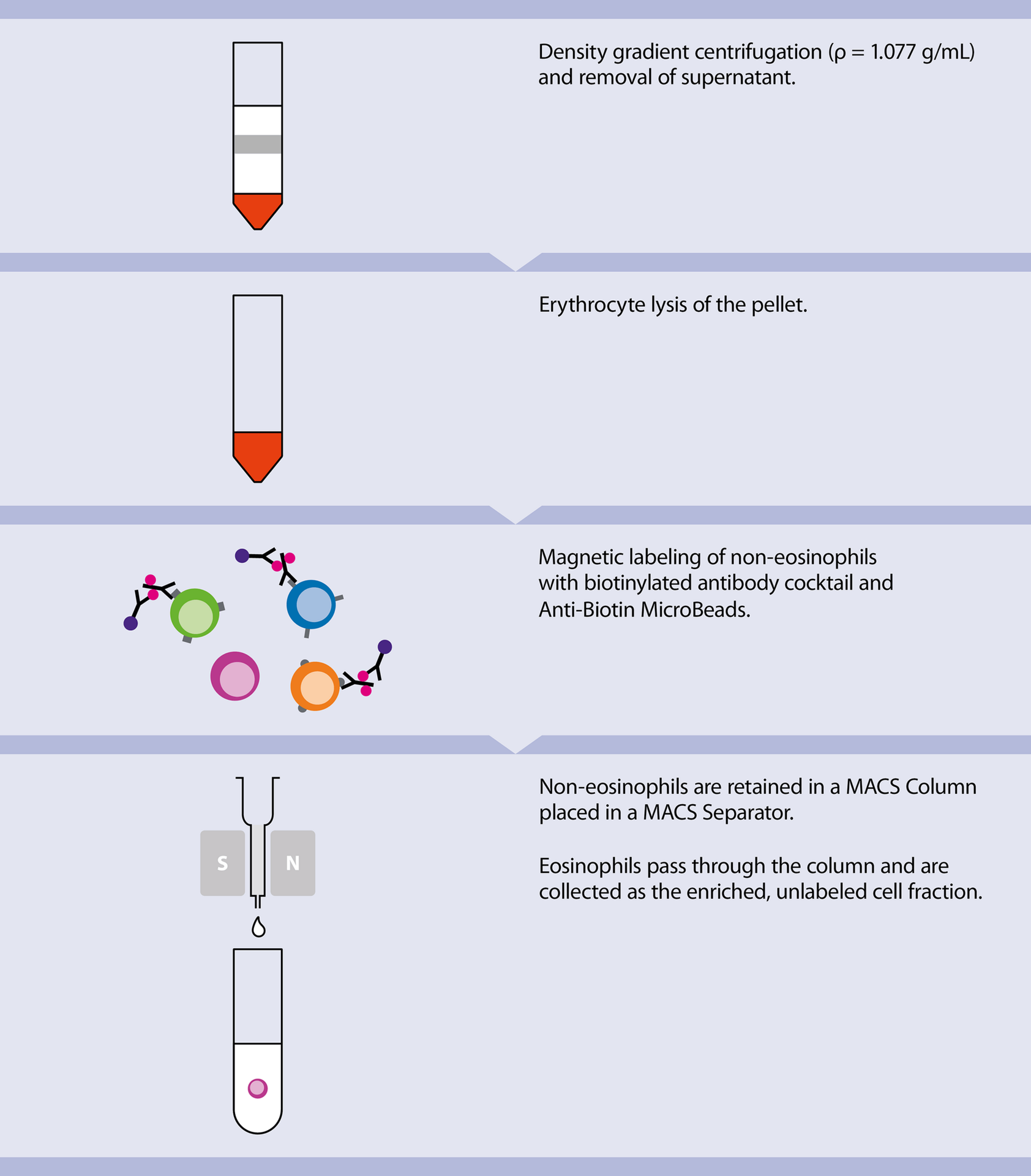 Granulocytes Polymorphonuclear Leukocytes Handbook Miltenyi