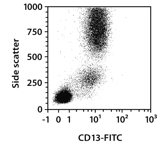 CD13 Antibody, anti-human, REAfinity™ | Miltenyi Biotec | USA