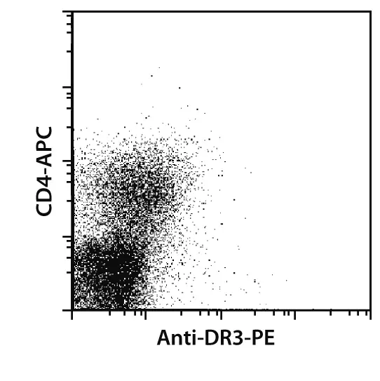 Dr3 Antibody Anti Mouse Reafinity™ Miltenyi Biotec Usa