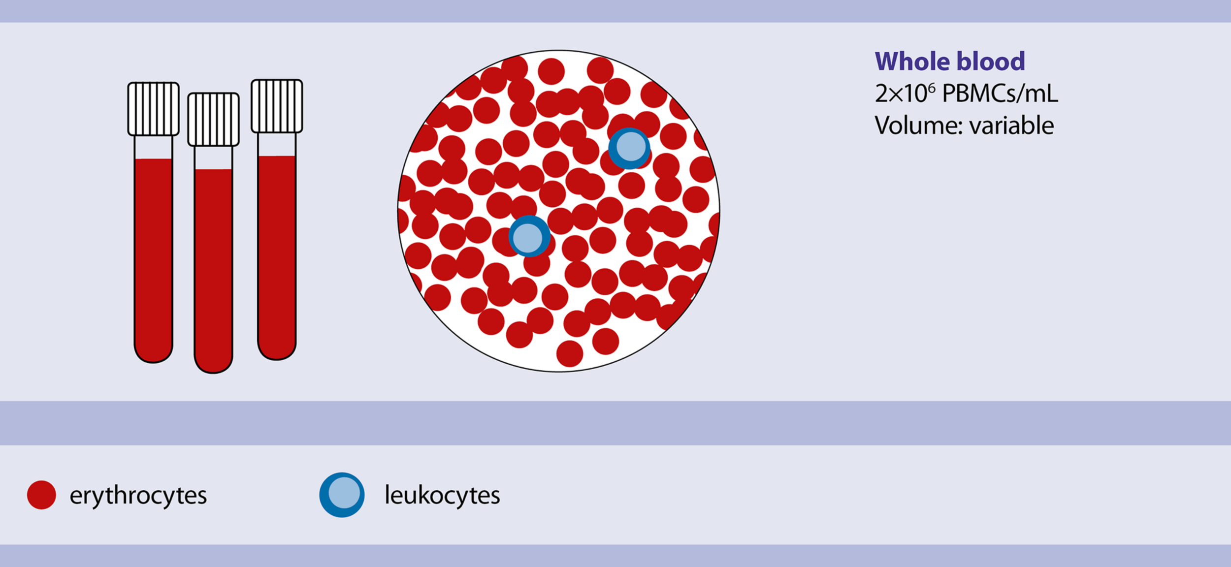 Peripheral Blood Whole blood Handbook Miltenyi Biotec USA