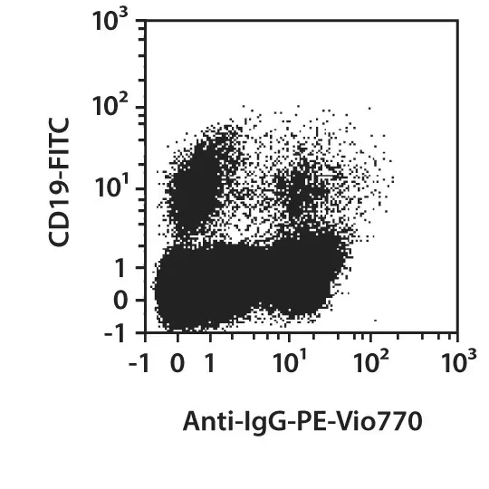 IgG Antibody, anti-human | Miltenyi Biotec | USA