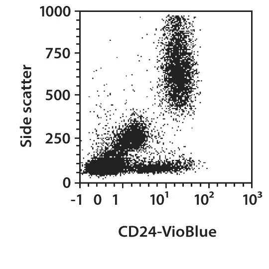 CD24 Antibody, anti-human | Miltenyi Biotec | Great Britain