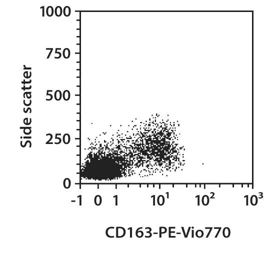 CD163 Antibody, anti-human | Miltenyi Biotec | USA