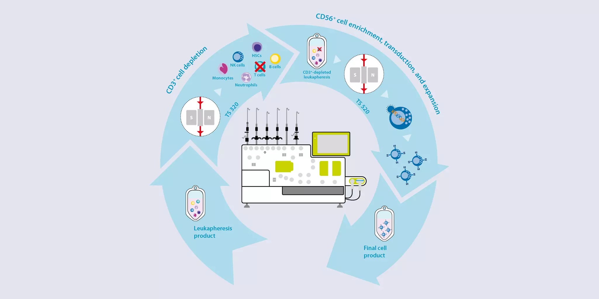 CAR engineered NK Cells using Viral Vectors | Miltenyi Biotec | USA
