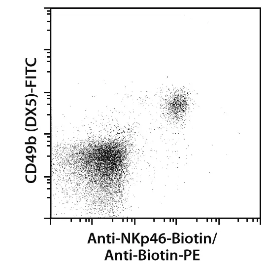 CD335 (NKp46) Antibody, anti-mouse | Miltenyi Biotec | 日本
