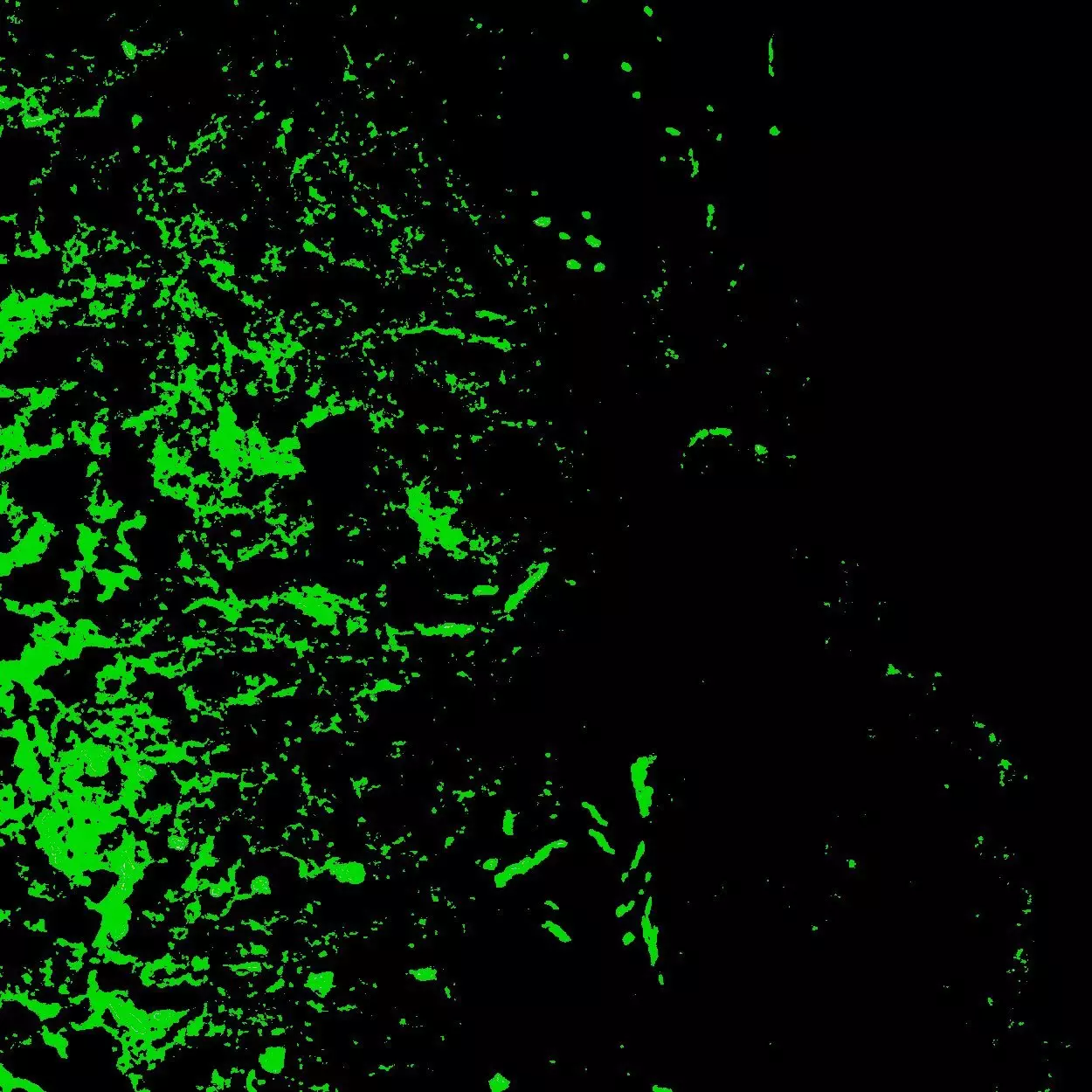 CD34 Antibody, anti-human | Miltenyi Biotec | España