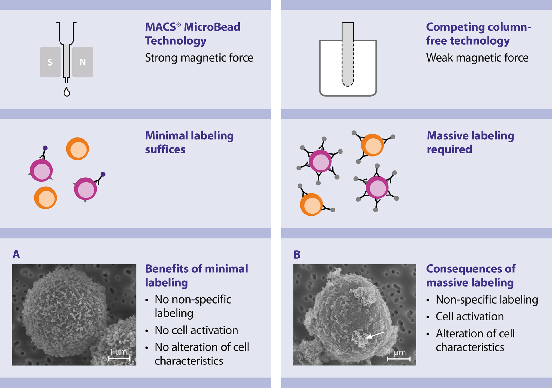 Basic principle of cell separation Miltenyi Biotec